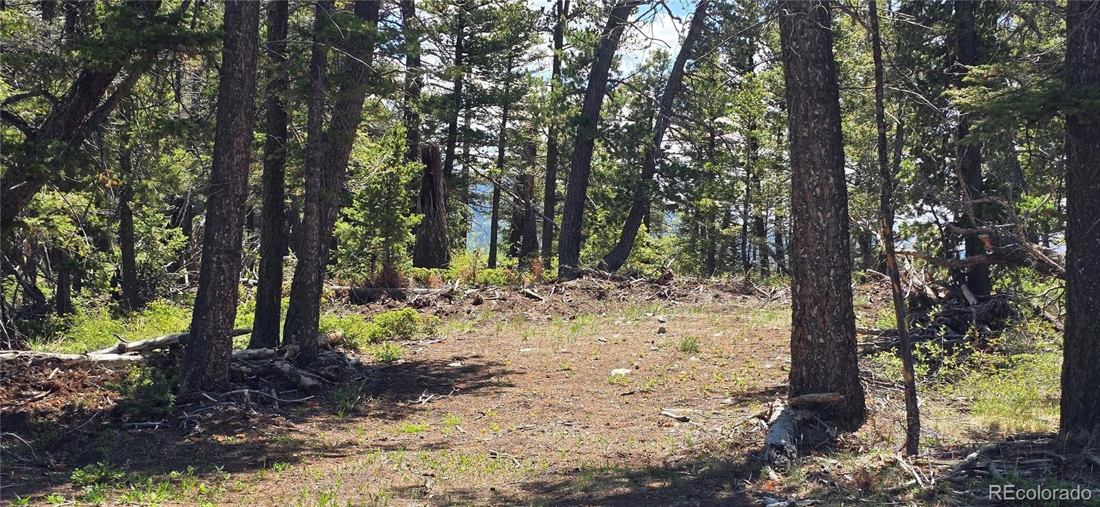 Lot 5546 Balleroy Road