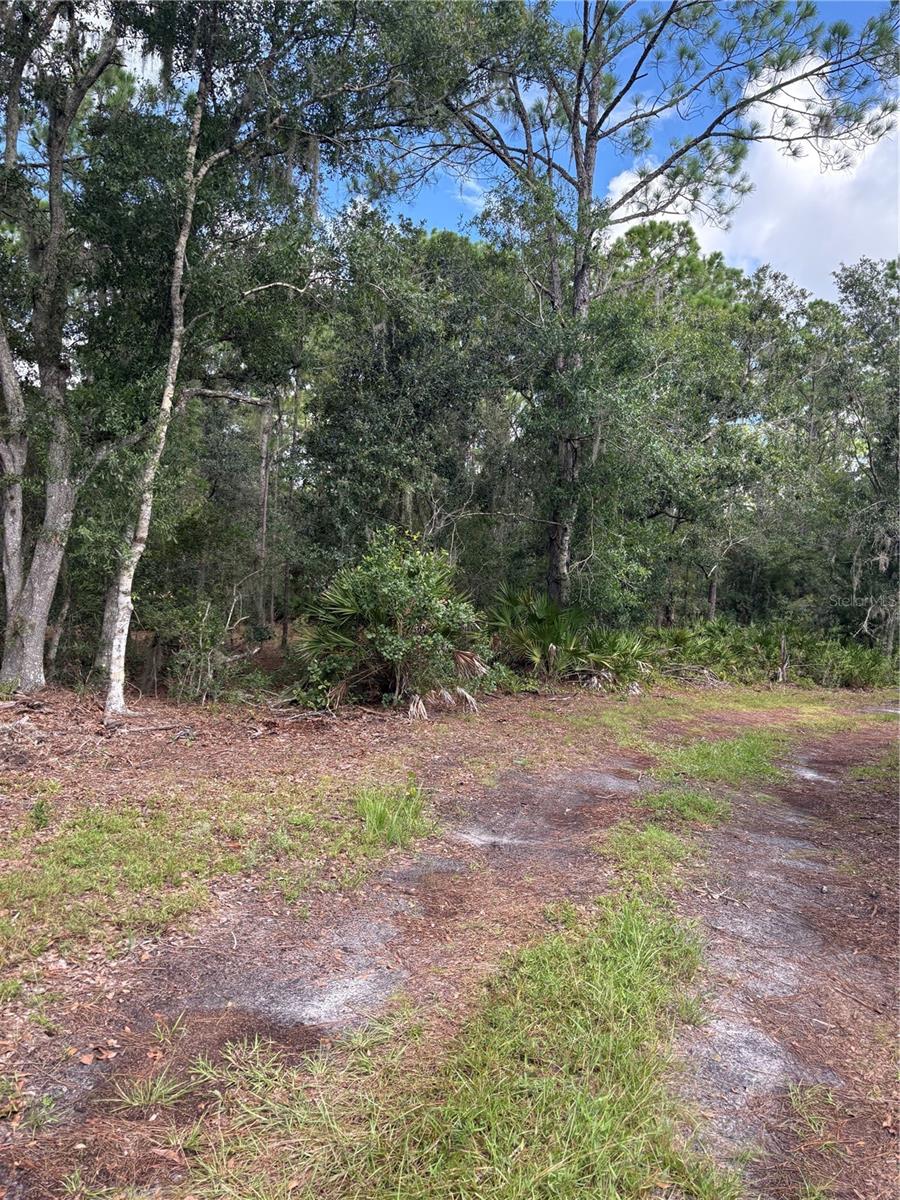 5010 Wauchula Road