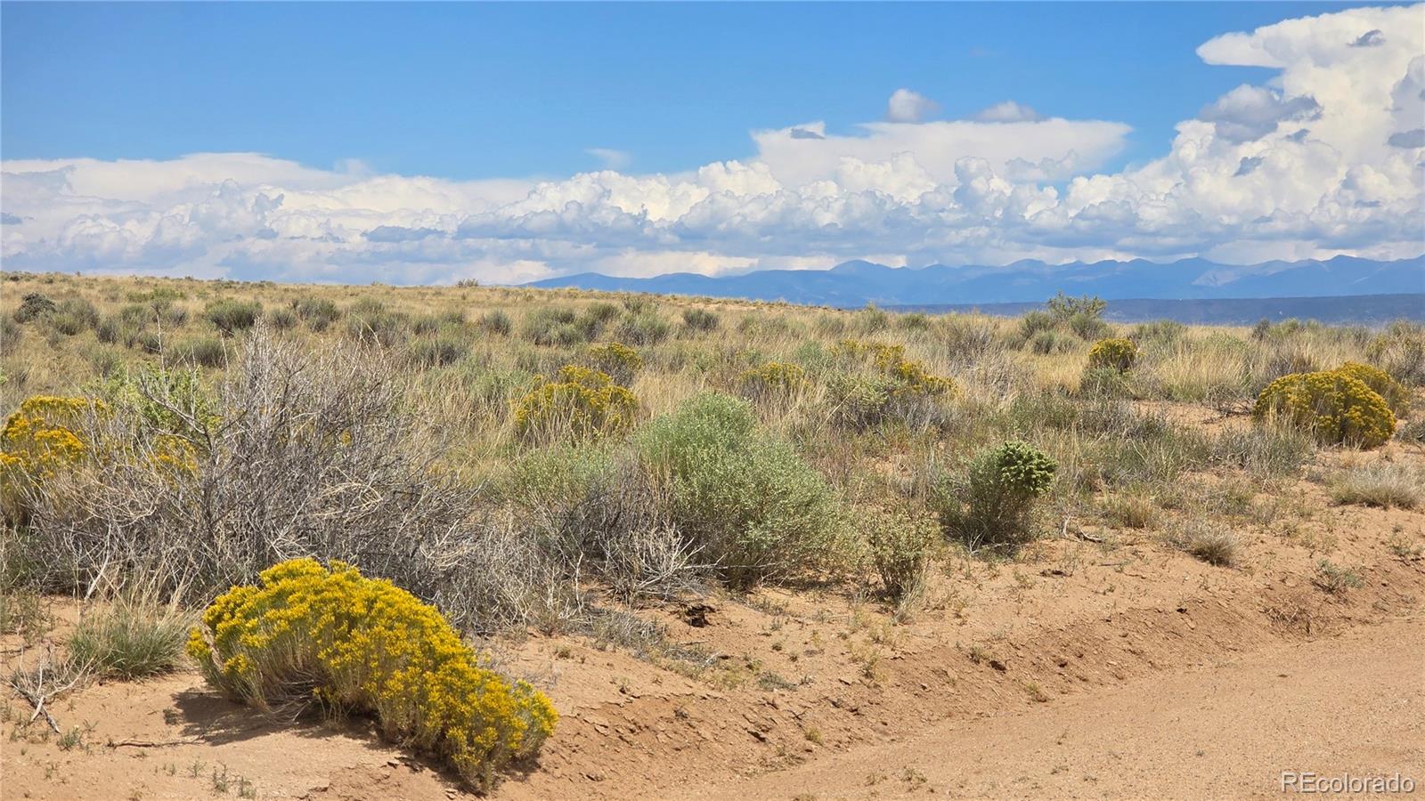 Lot 115 Osage Trail