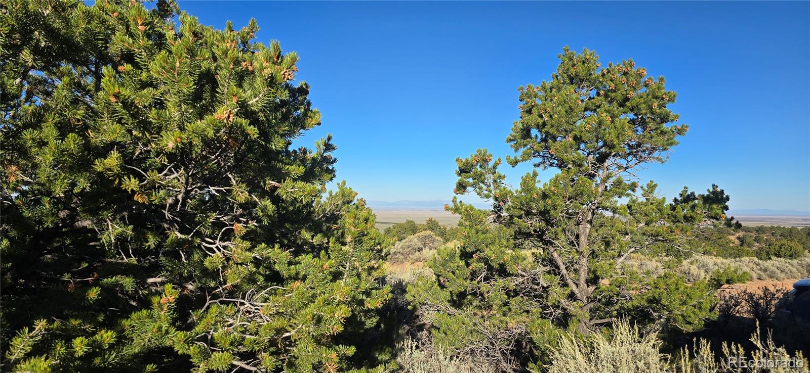 Lot 1361 Dunn Road