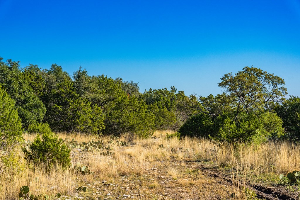 29 NE Big Draw Drive