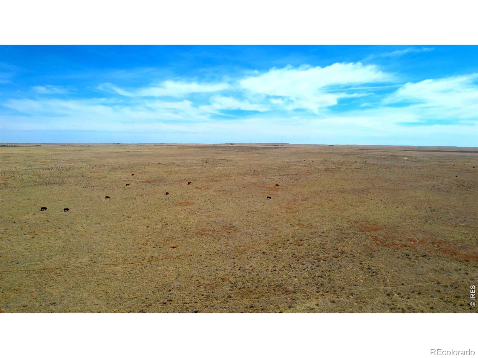 Rare grassland purchase opportunity! Not very often does a full section of undisturbed grassland w/ an electric well become available. The section hasn't been grazed for 5 years and is perfect for your livestock operation. Great location, great access, 4 miles W of Akron AND the length of the section abuts CR 42. The livestock well is electrically powered, not solar or wind powered. The well location is easily accessible from CR 42. The fencing has been well maintained and is livestock ready.