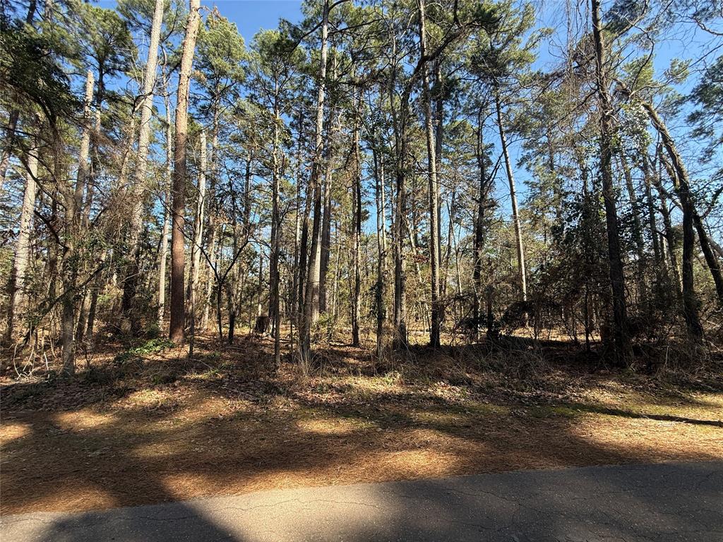 Plenty of woods allow you to pick the best spot to clear while keeping enough trees for privacy. The secured subdivision sits southeast of Winnsboro and Northwest of Gilmer, Texas. Heavily wooded .78 acres inside the gated 4D Country Estates, provides a scenic building spot! Inside, you'll find amenities such as a fishing pond with dock and pier, and a clubhouse. With rolling terrain, you have options for building sites. Keep it as raw land for a wooded escape, or turn it into your great weekend getaway, or make it your permanent residence!