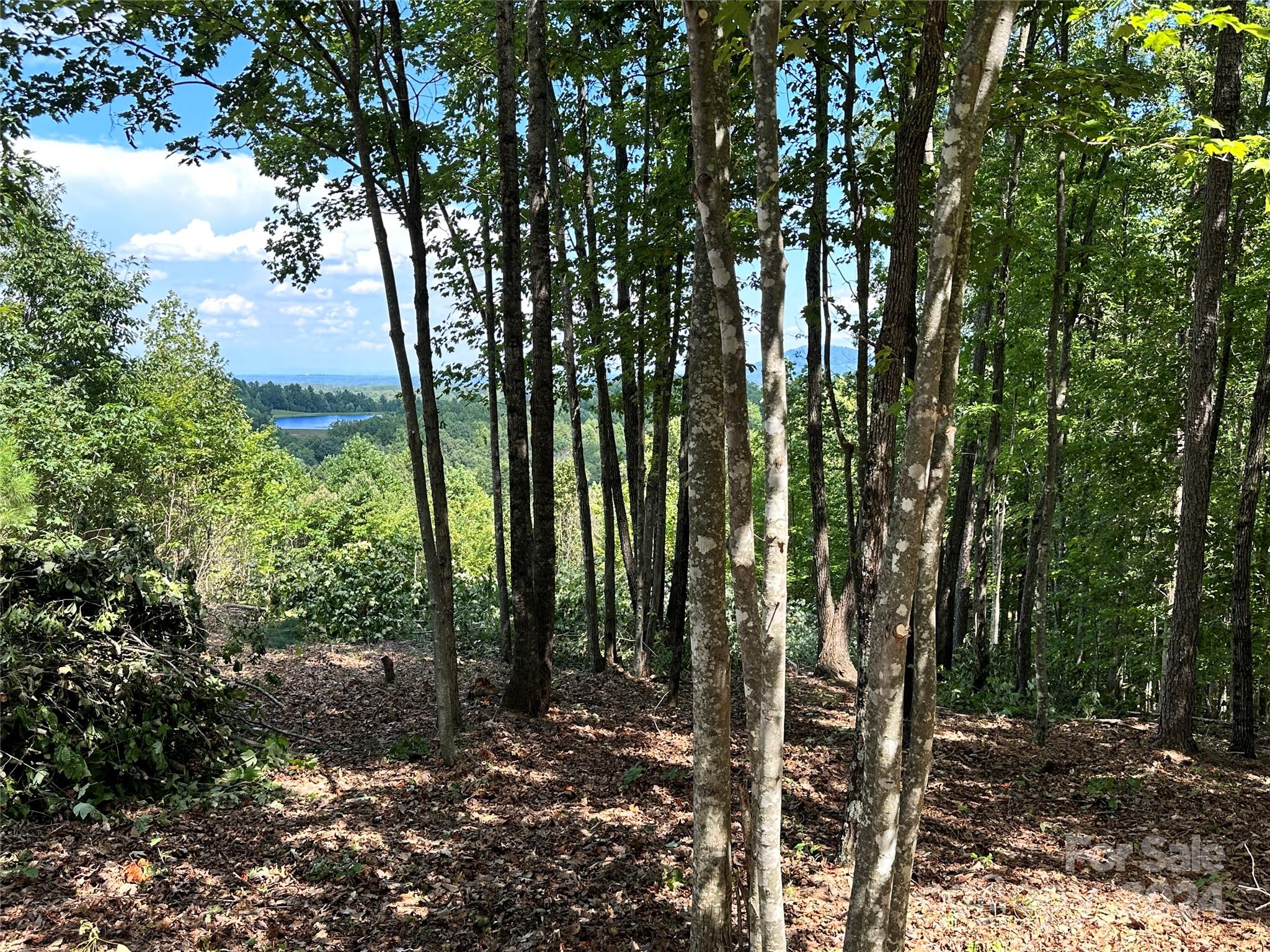 65 Serene Trail 461