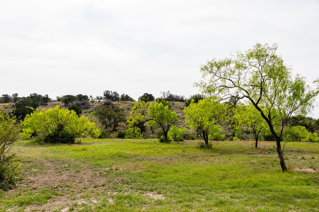 101 NE Big Draw Drive