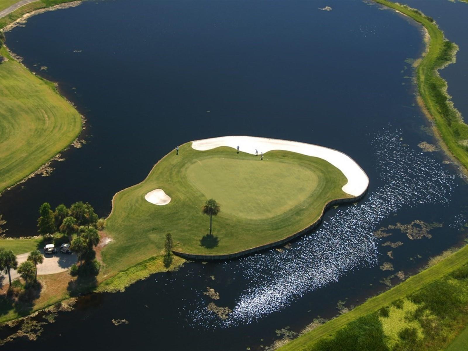 7790 Fairway Woods Drive 1201