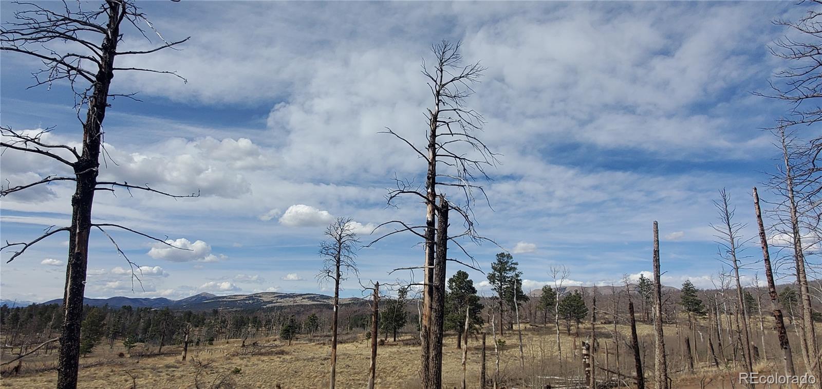 Lot 1224 Emery Loop