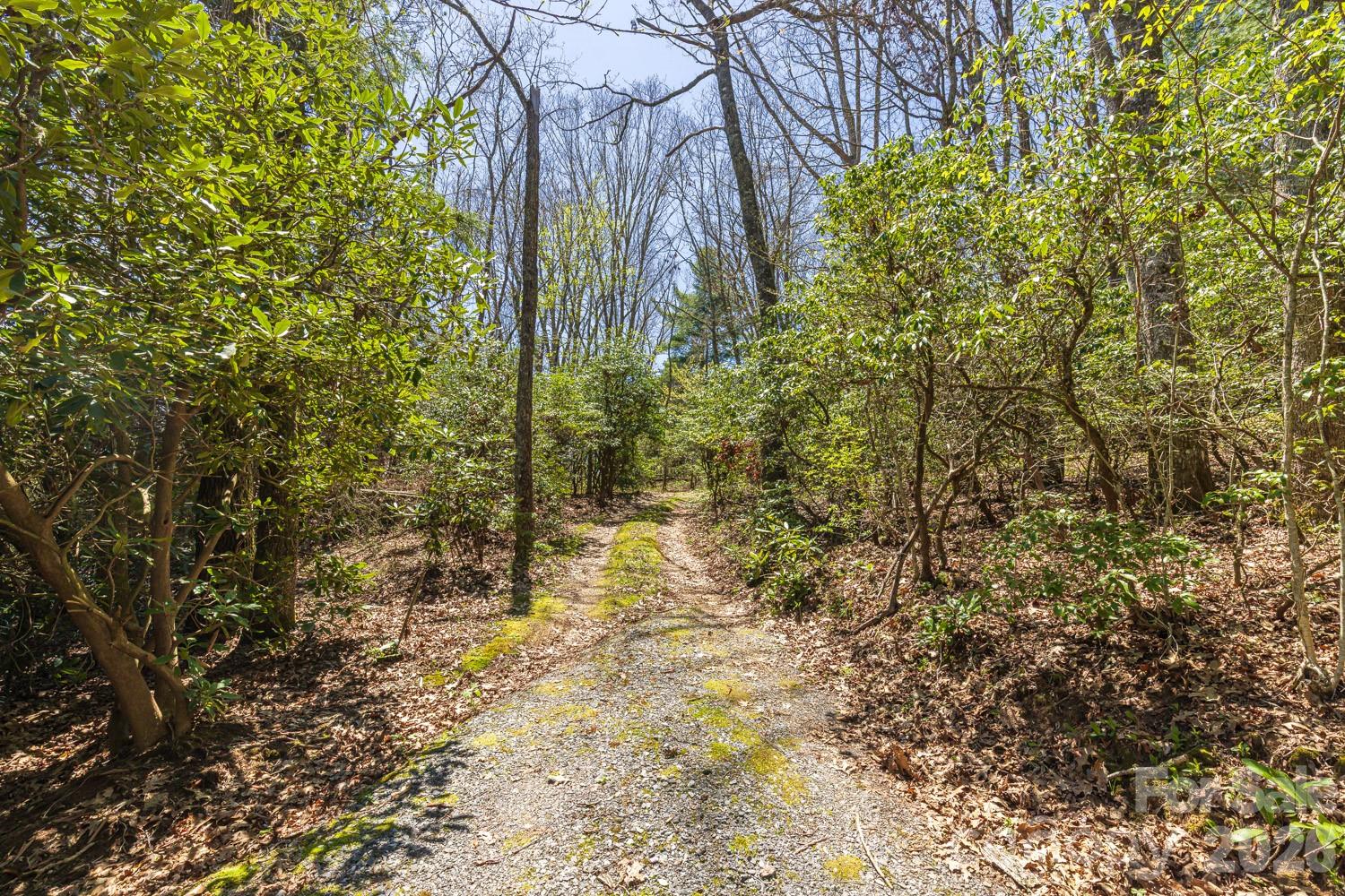 9999 Fairview Forest Drive