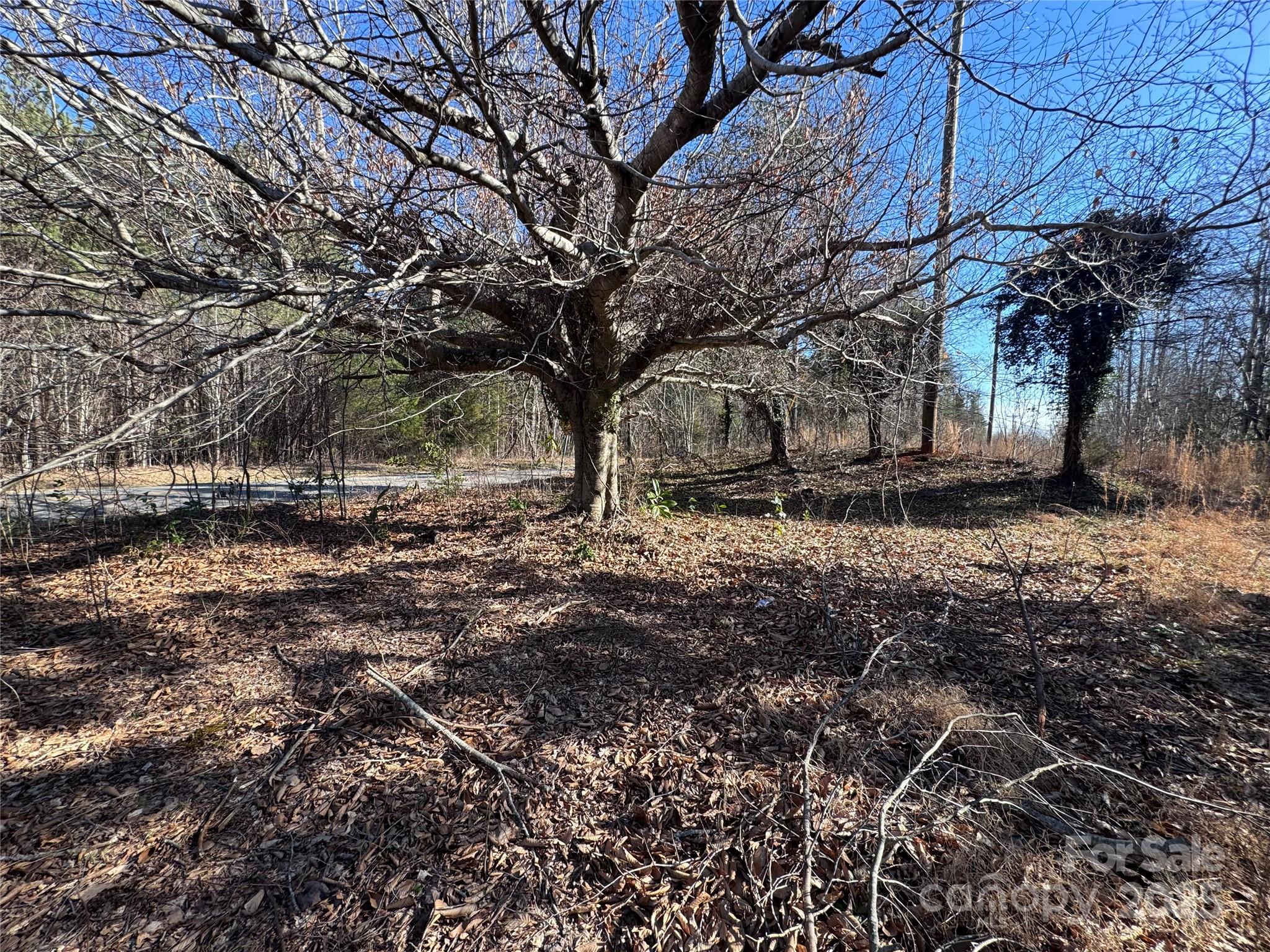 4675 Harmony Highway