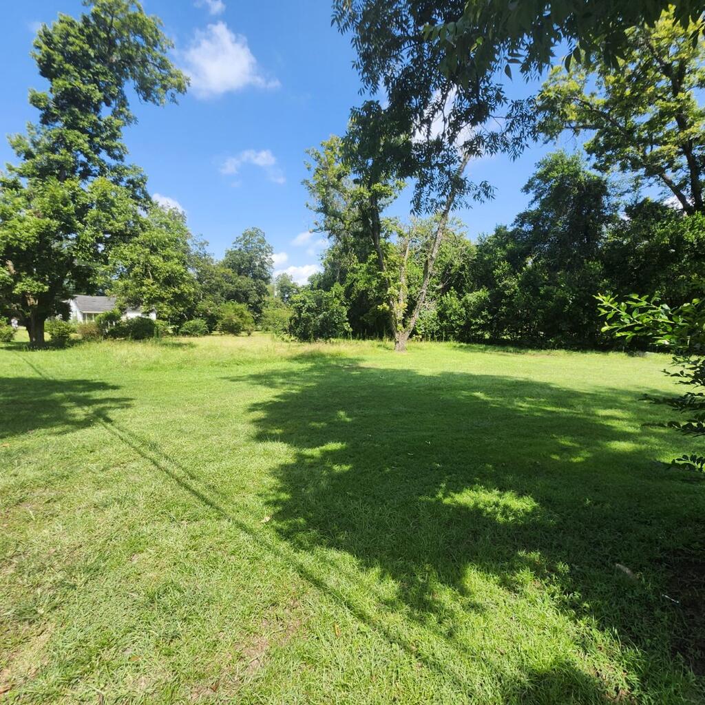 Explore this 0.34-acre vacant lot located in Camilla, Georgia, perfect for building your next home or residential investment. This property offers public water and sewer connections, eliminating the need for well or septic installation, and providing convenient utility access. Situated within city limits, the lot combines small-town charm with urban accessibility, making it ideal for homeowners seeking a low-maintenance plot or investors looking to develop residential property. The parcel's compact .34-acre size strikes a balance between manageable upkeep and ample outdoor space for landscaping, gardens, or recreational areas. Whether you plan to construct a custom home or hold for future appreciation, its location ensures both convenience and potential growth, making it a smart opportunity for buyers!  This lot adjoins 87 Newton St which can also be purchased.
