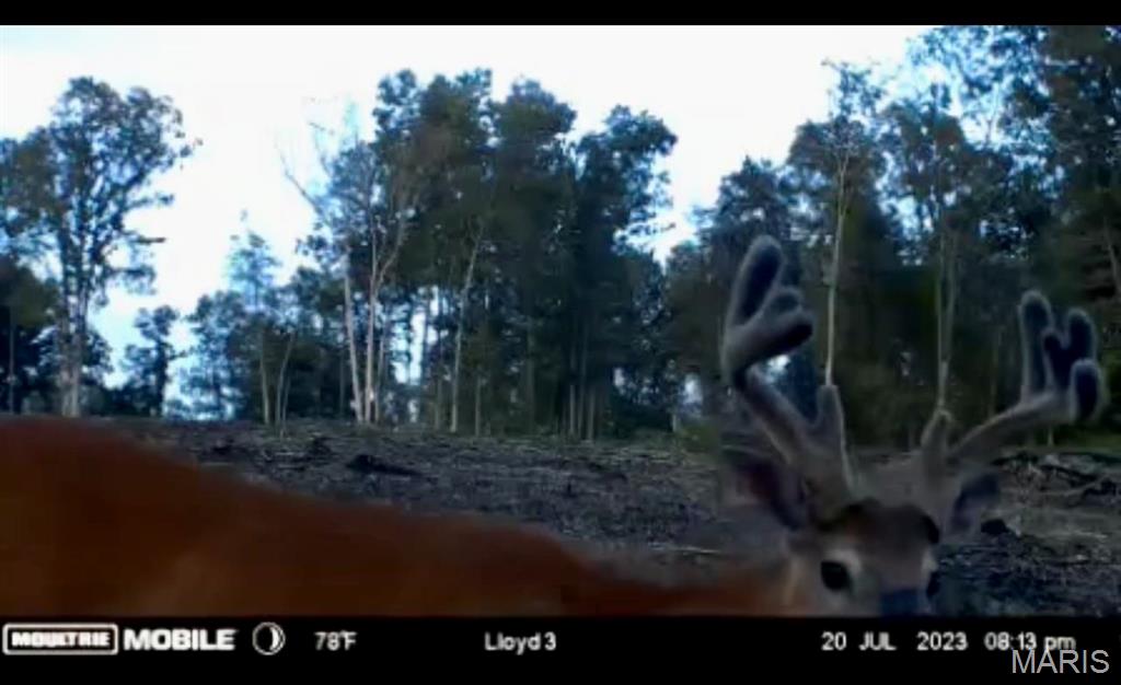 382 Furnace Creek Road