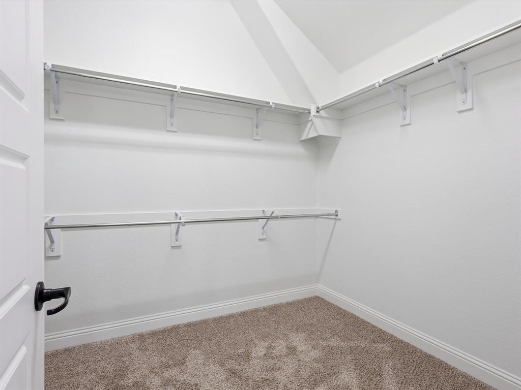 10113 Warberry Trail