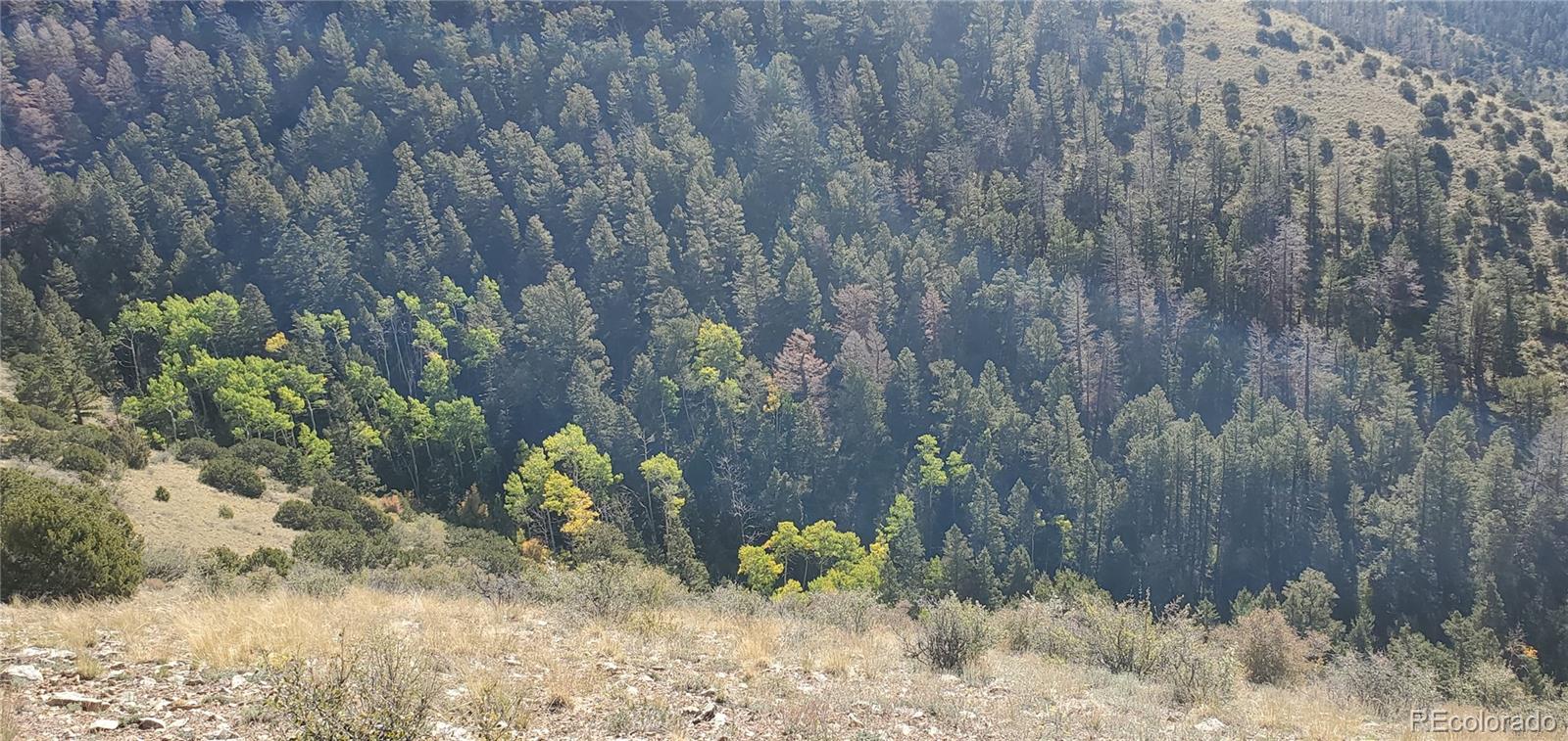 Lot 5820 Covington Road