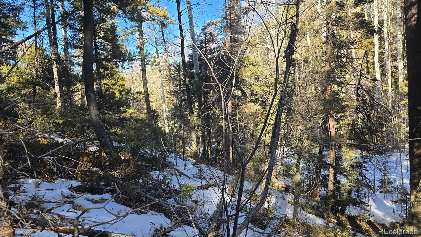 Lot 5540 Joy Road