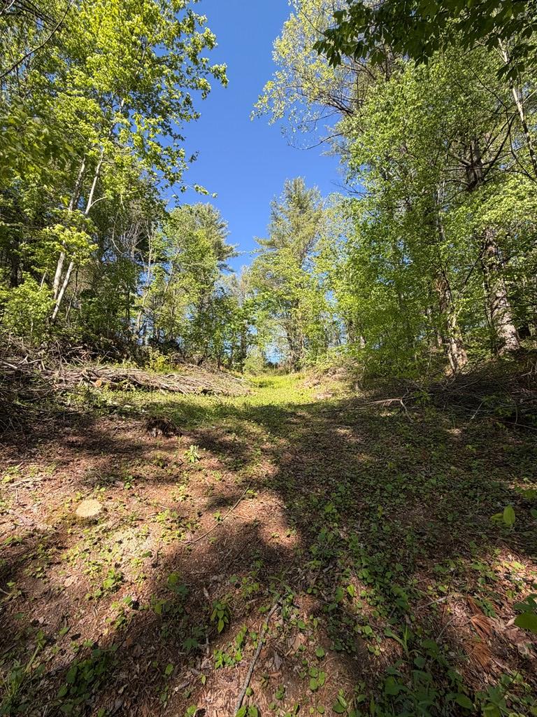 Rare find! A nature lover's dream, this small acreage in Konnarock is a 15 minute drive to the Town of Damascus (the heart of the Virginia Creeper Trail) and is only minutes to the national forest and the Appalachian Trail, and approximately 30 minutes to Grayson Highlands State Park. Spring water on property. Property has been perc tested but any previous permit has expired. Deed states a total of 3.5 acres per the Tax Map descriptions but 4 acres +/- in the body of the deed. Listing agent is available to walk the property with Buyer and its agent. Zoning is Konnarock Village. Property is in Washington County. Buyer and its agent responsible for verifying allowed use(s), Internet and cell service availability, and allowed septic and water systems. Property is listed below tax value. Owner financing considered with 1/2 down.  Owner/Agent