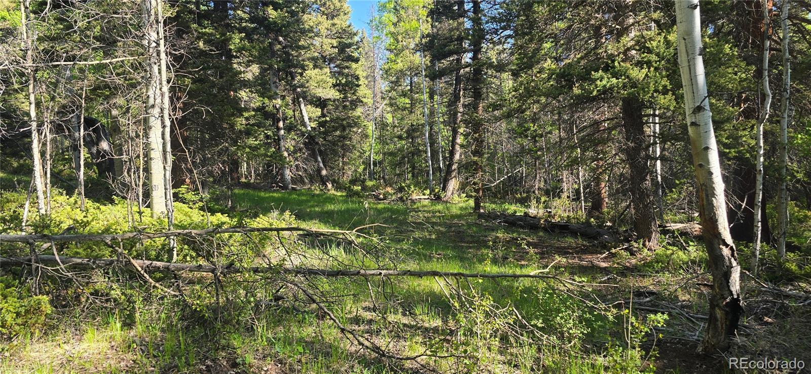 Lot 6385 Jaquez Road