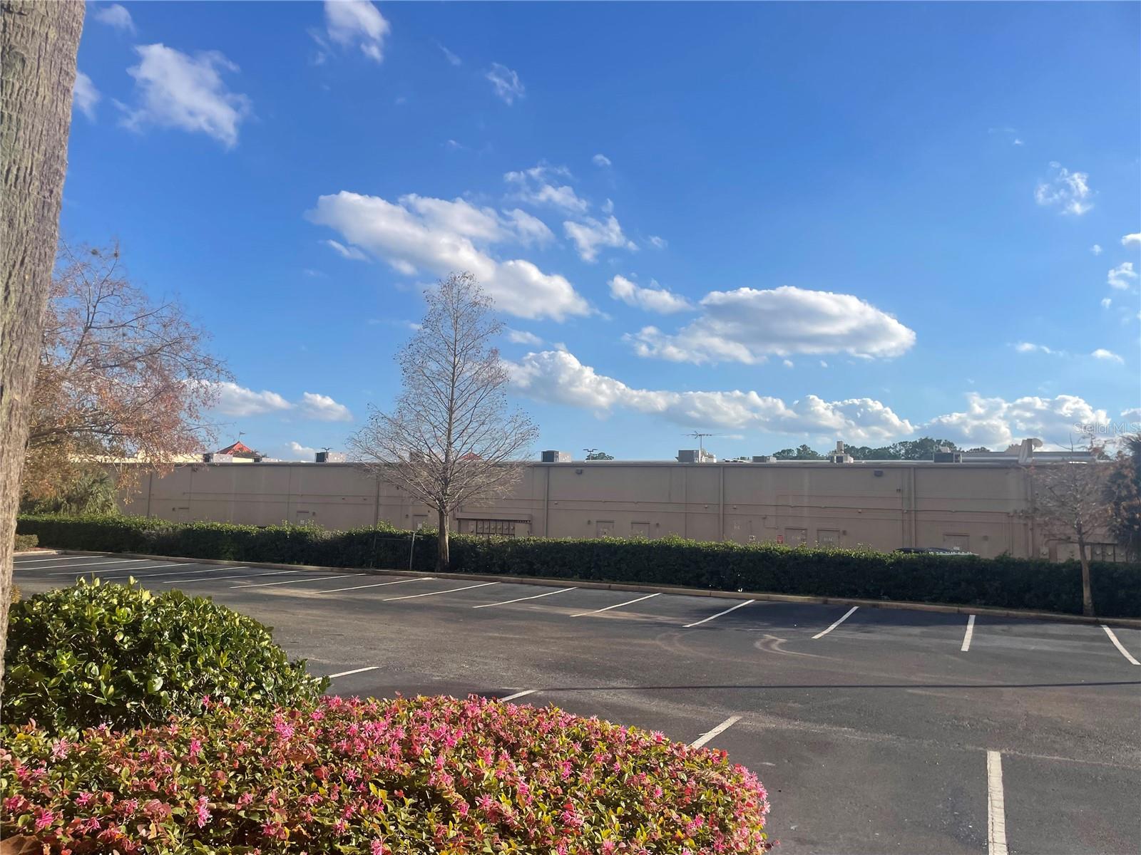 8112 Poinciana Boulevard 1509