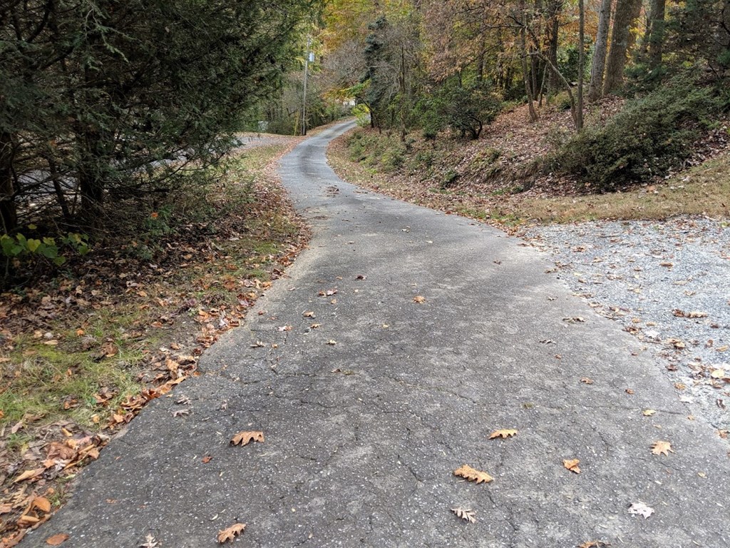 Joy Lane
