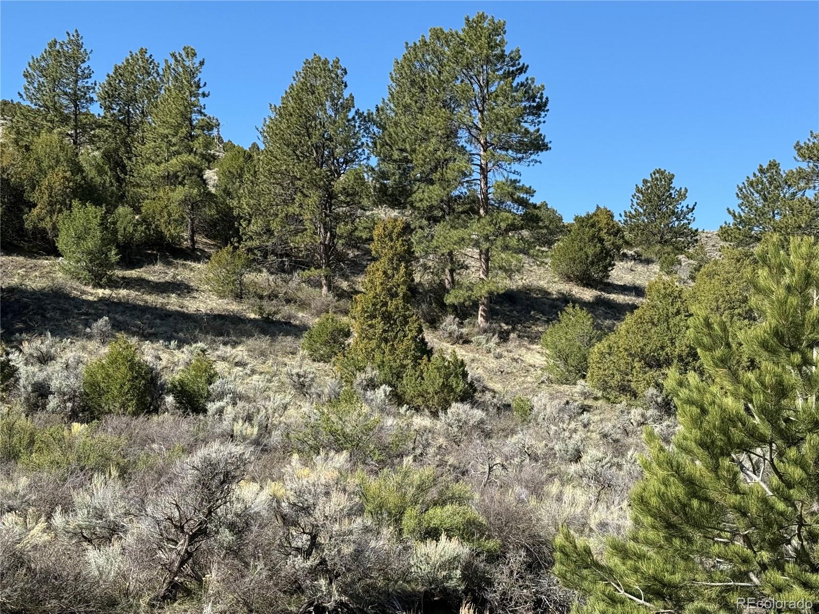 Lot 4918 Jaffe Road