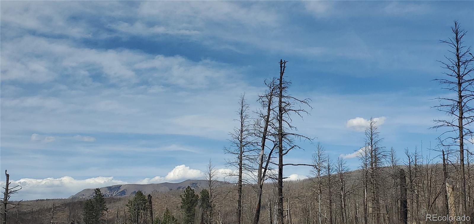 lot 1223 Emery Loop