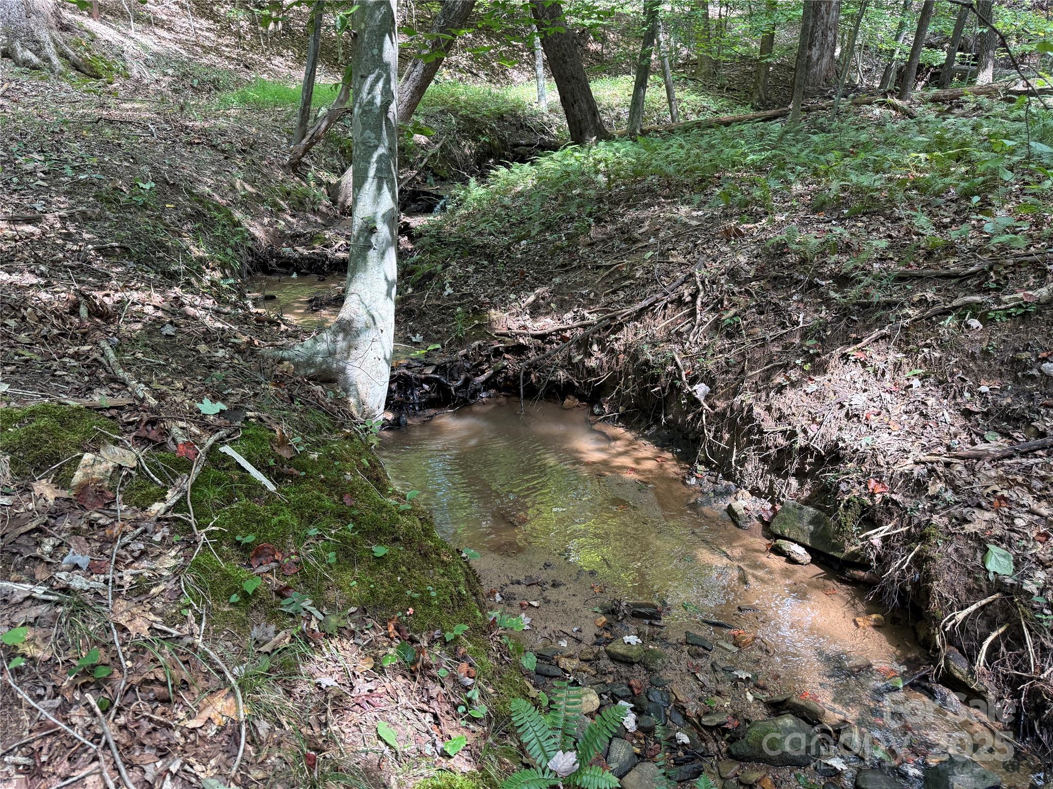 0 Mountain Brook Trail 298