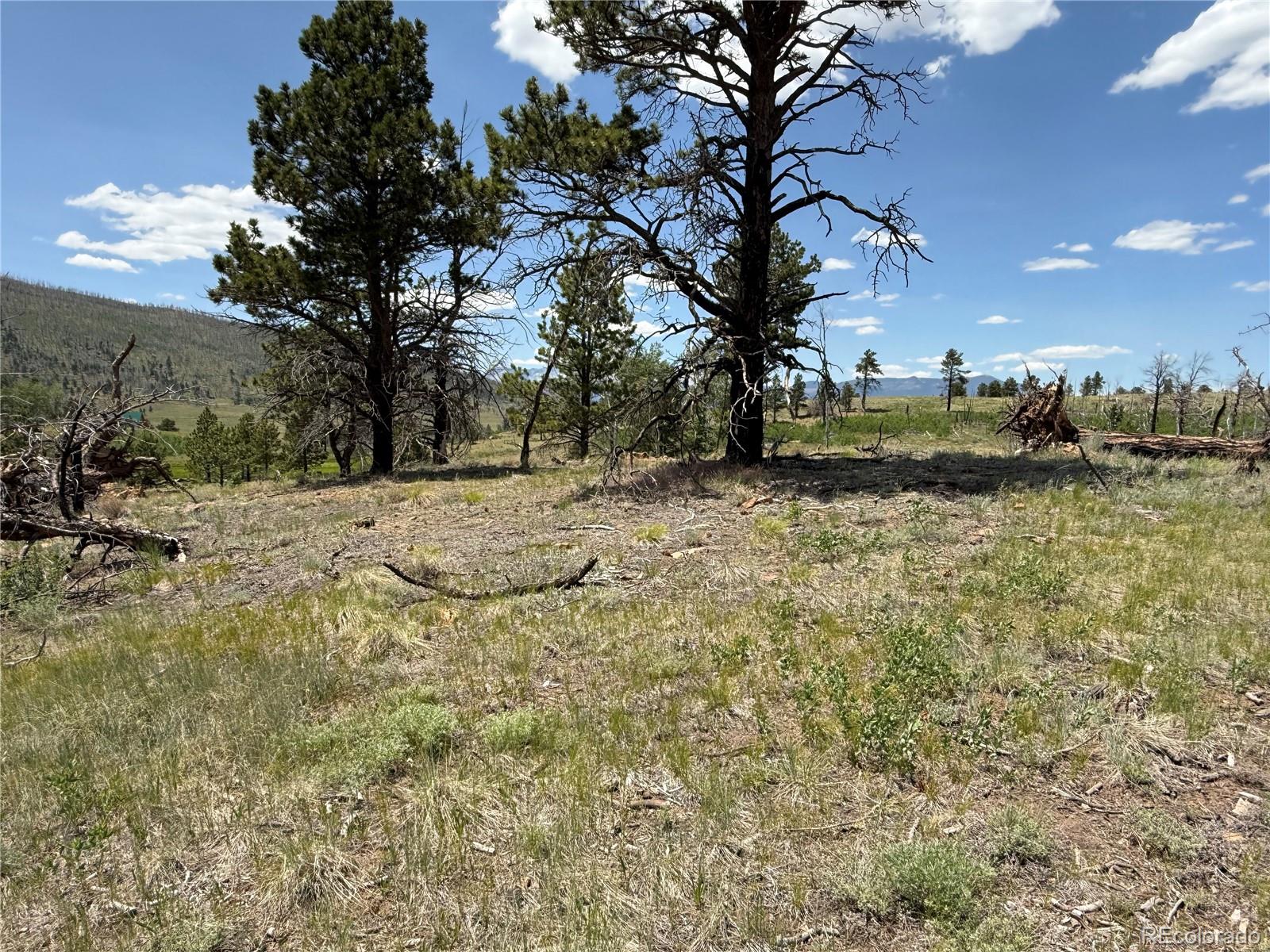 Lot 1103 Emery Loop