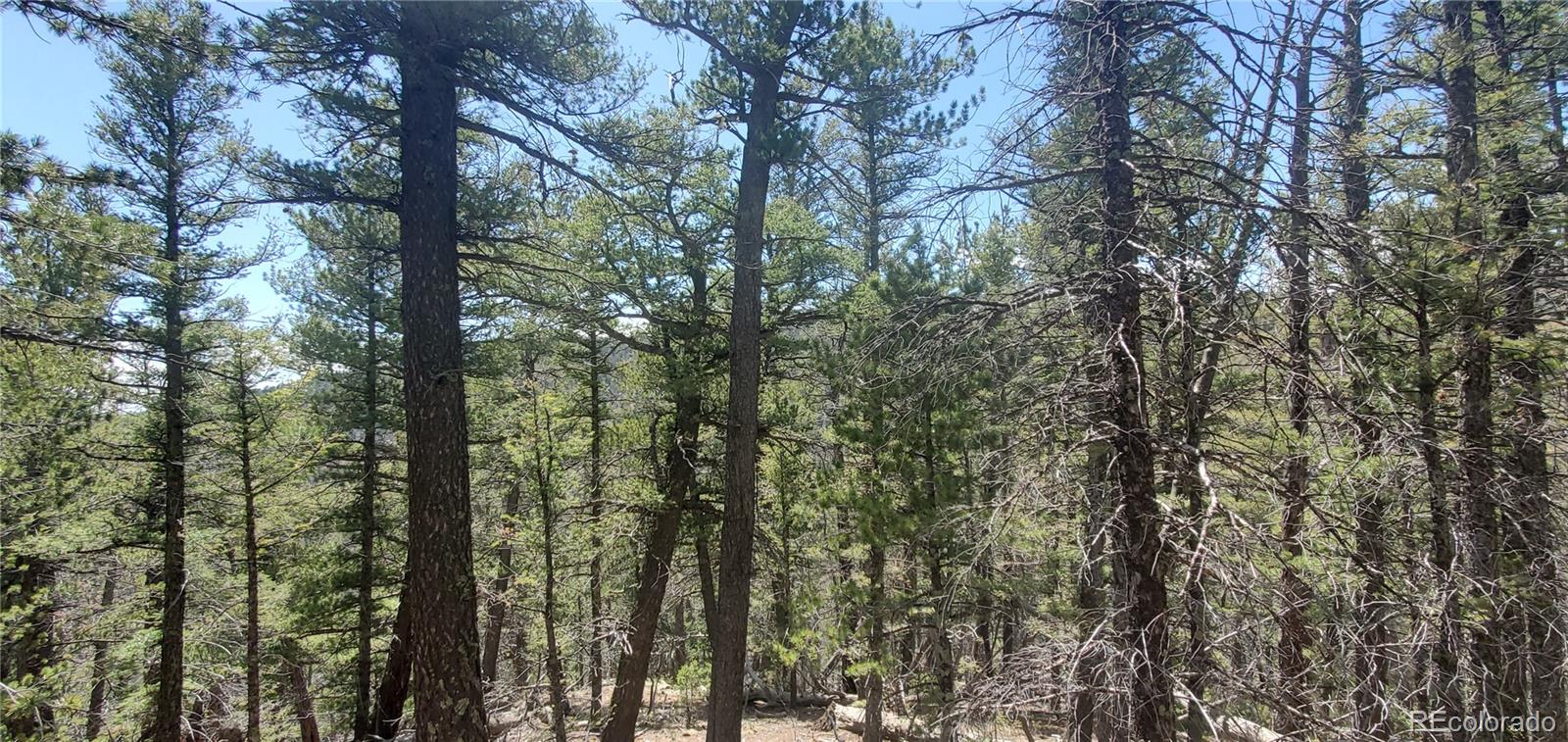 Lot 6764 Kerrigan Road