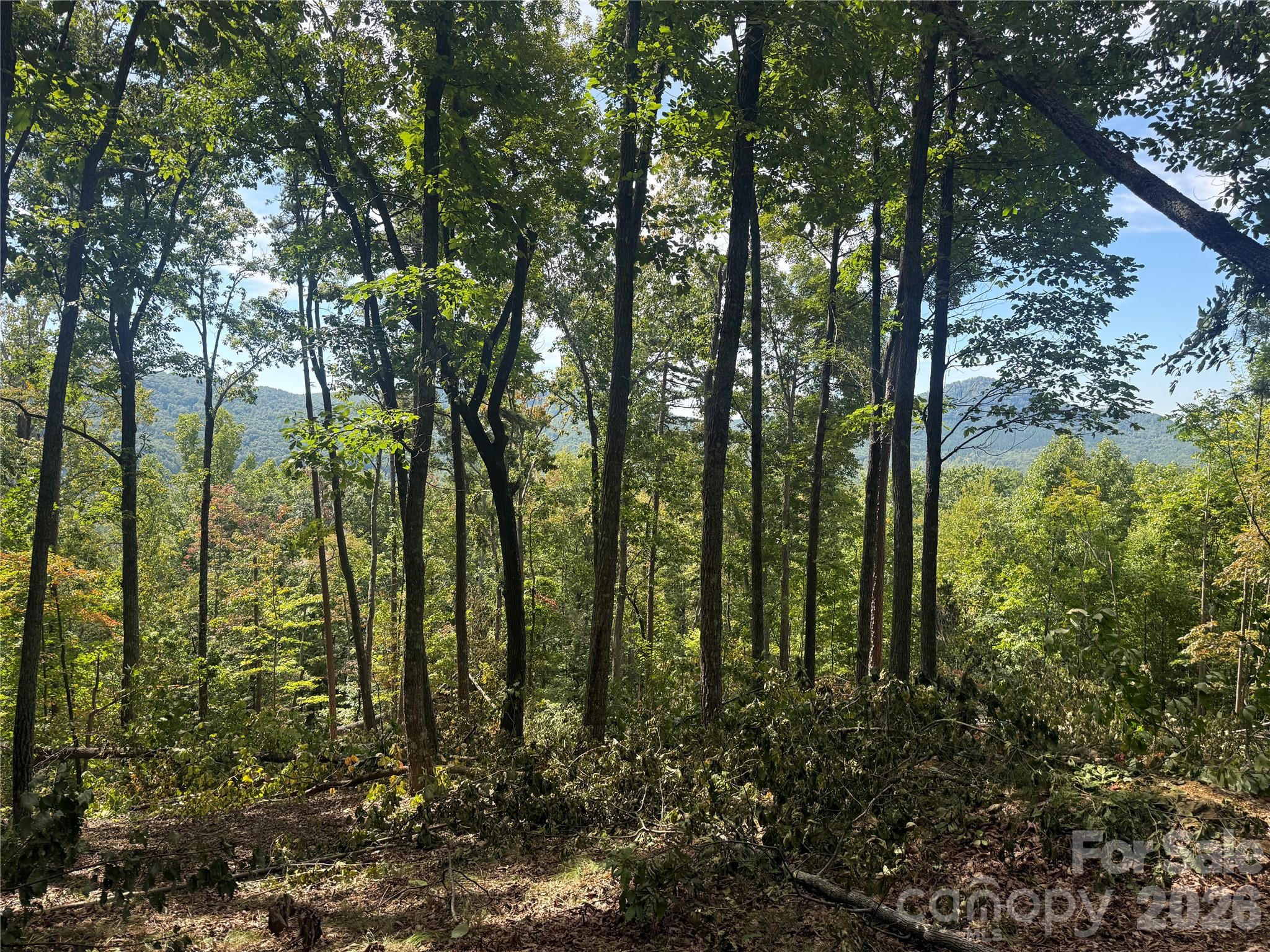 V/L Scenic Vista Drive 332/333