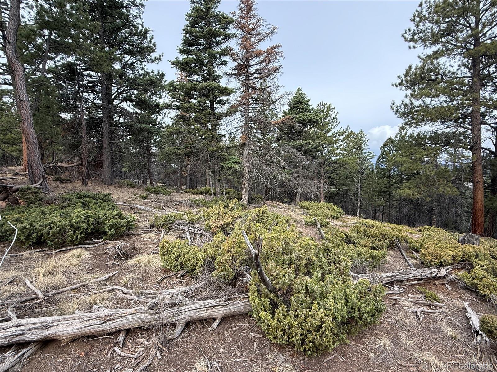 Lot 152 Tahmoush Lane