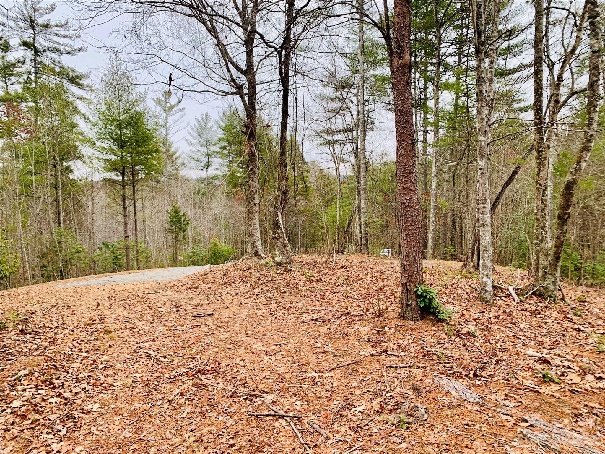 5.24 acres, Lot 87 Round Mountain Parkway Lot 87