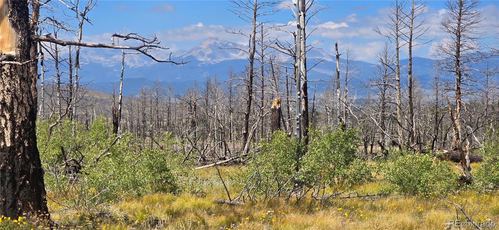 Lot 1242 Granville Loop