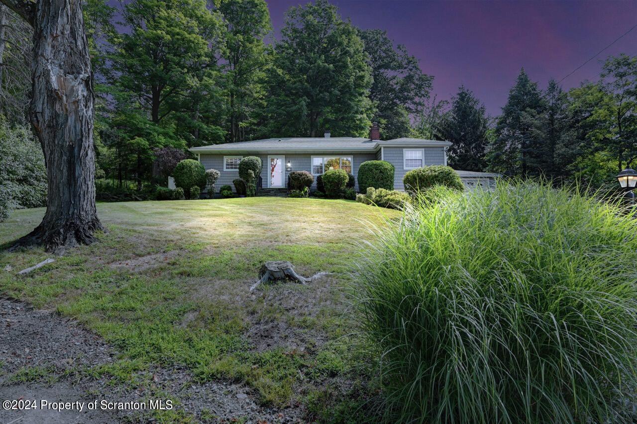 100 Buckhill