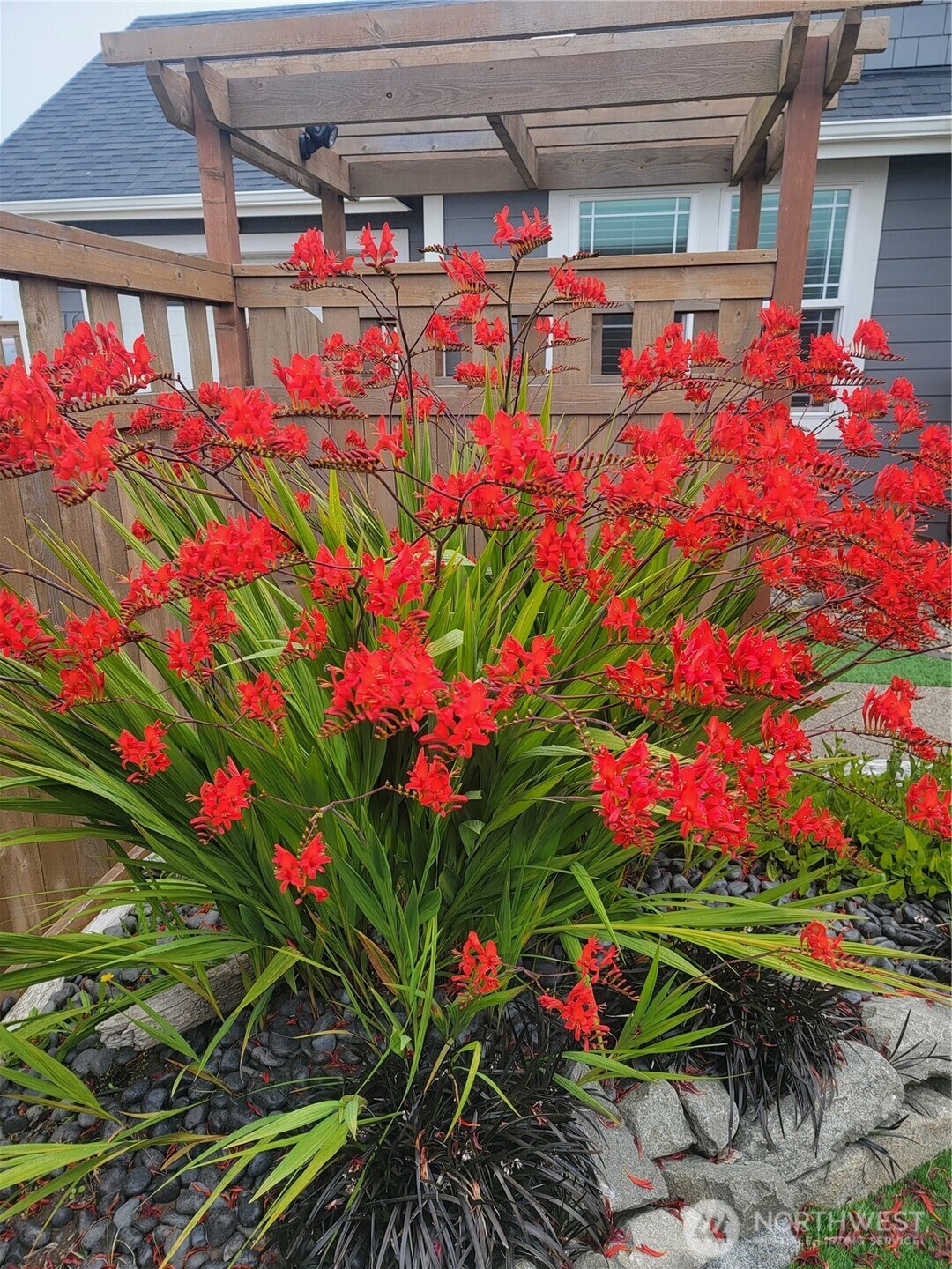 1116 Ocean Shores Boulevard SW