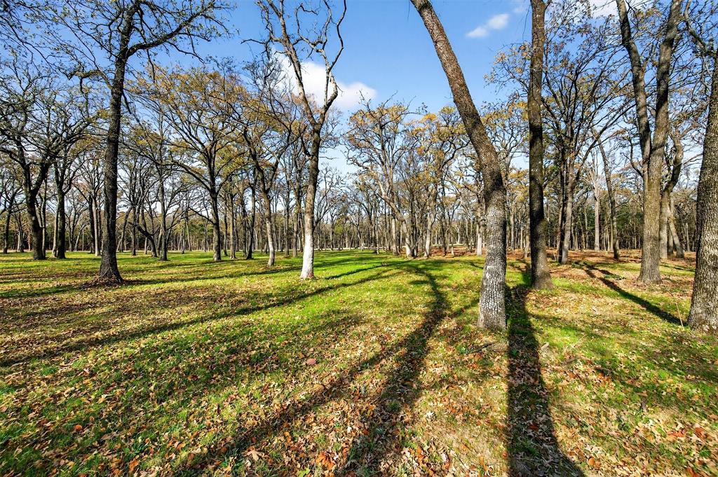 Lot 14 Buck Trail