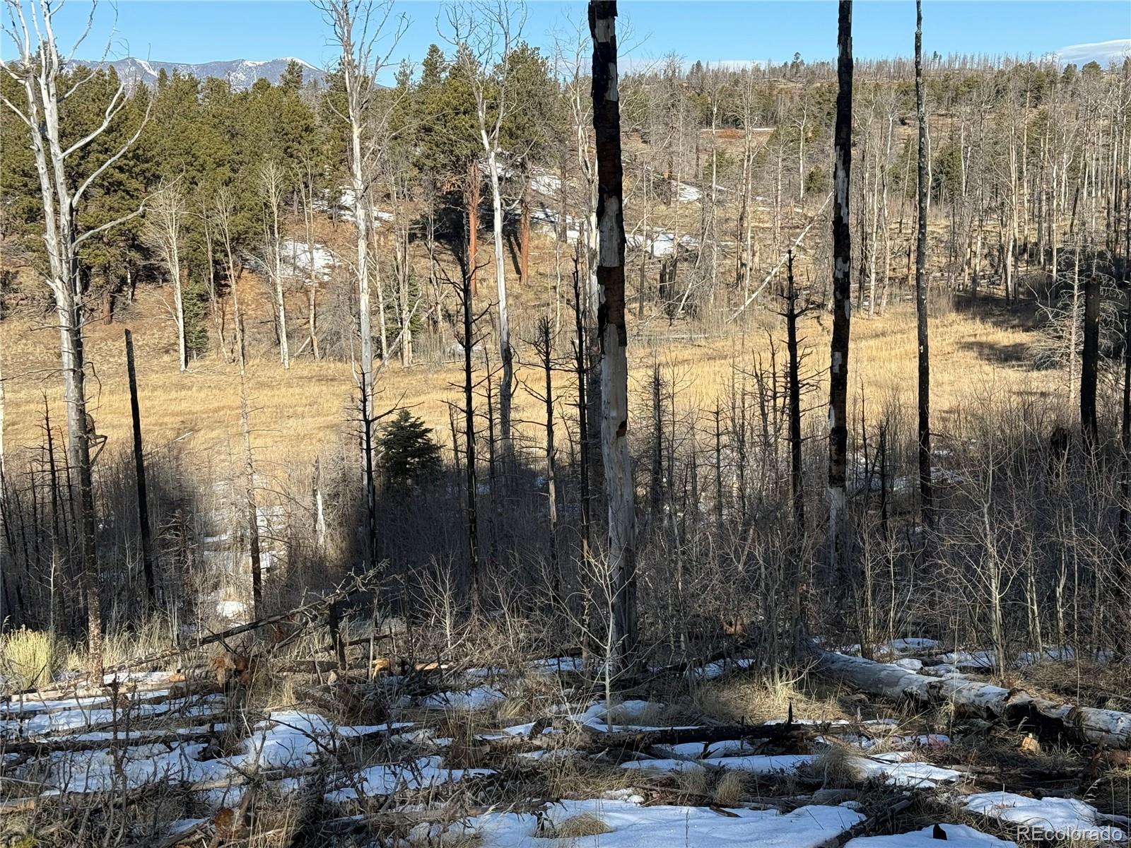 Lot 356 Spangle Drive