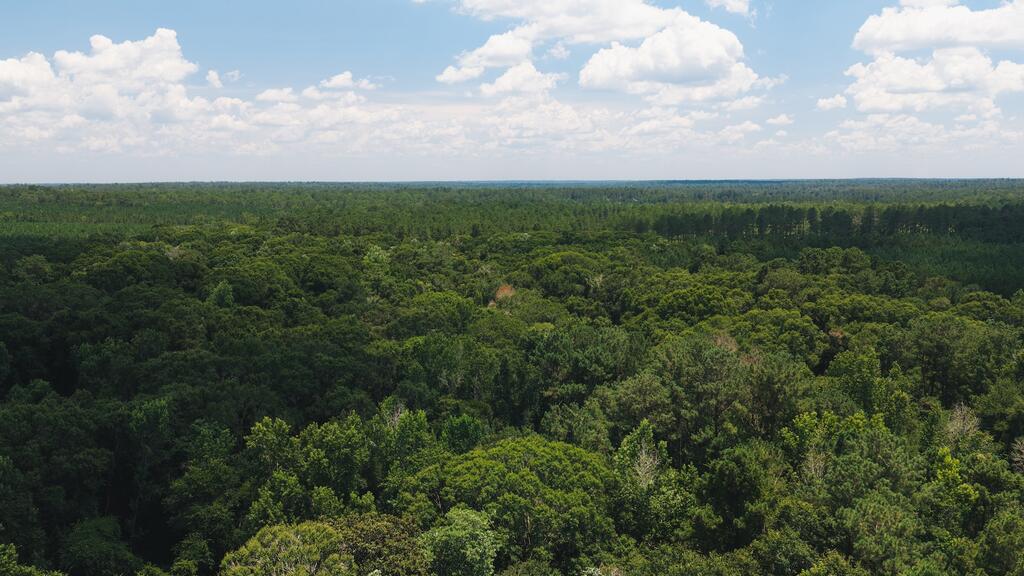Discover your own private slice of the outdoors with this beautiful 20 acre recreational tract located just minutes from town. Offering the perfect blend of convenience and seclusion, this unique property is a haven for hunters, nature lovers, and anyone seeking a peaceful retreat.  The Aucilla River meanders through the property, creating a picturesque landscape rich with wildlife and natural beauty. Predominantly covered in mature hardwoods and wetlands, the tract provides exceptional habitat for abundant deer and turkey, making it an outstanding hunting property or weekend getaway.  Near the road frontage, you'll find a small buildable homesite, offering an ideal location for a cabin, hunting camp, or future homesite while preserving the property's natural surroundings.  Whether you're looking for a recreational escape, a hunting property, or an investment in South Georgia's natural beauty, this rare riverfront tract offers endless opportunities to enjoy the outdoors. Experience the sights and sounds of the Aucilla River and create your own private retreat just outside of town.