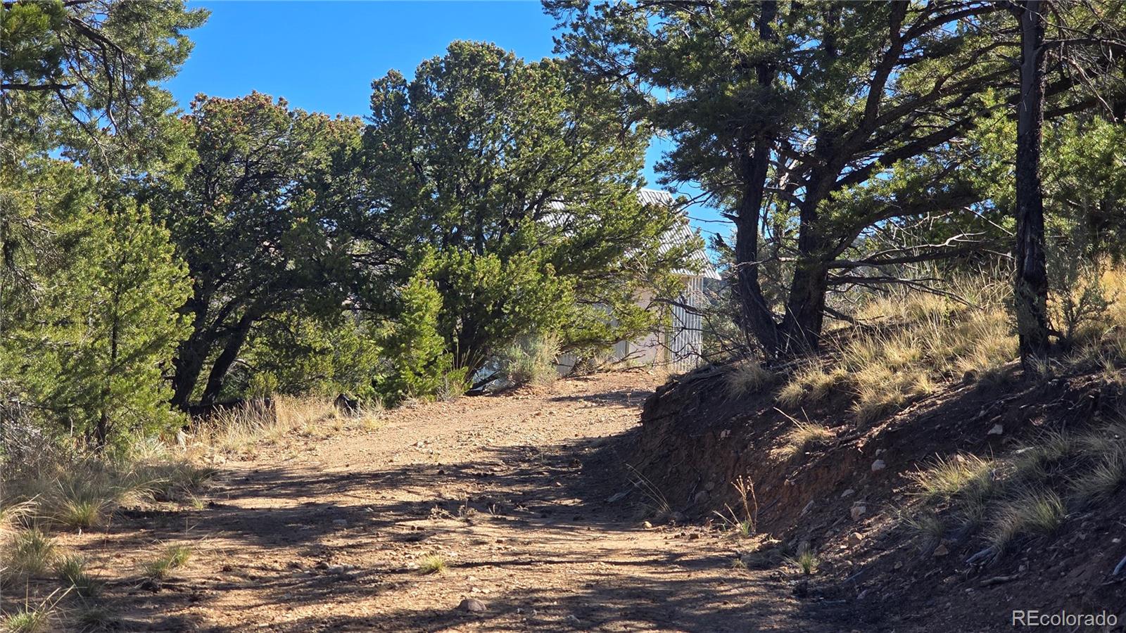 Lot 5996 Rod Road