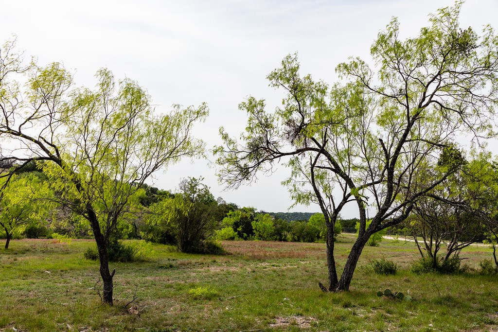 101 NE Big Draw Drive