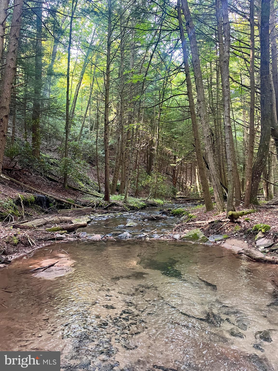 Spend more time in the beautiful woods of Clinton County! This is nearly 800 acres of serene paradise, adjacent to the beautiful, 300,000+ acre Sproul State forest, with everything you could dream of in an getaway to the great outdoors. Wildlife abounds, including deer, turkey, and black bear, and even the occasional elk! You'll find a creek bottom with a stream winding through old growth woods with your own private rail trail, solid gravel roads winding throughout providing an unusual level of convenient access, and an abundance of beautiful build sites with jaw-dropping views.The privacy, the creek bottom and views make this parcel an incredible spot to create your off grid dream home. The property features about a mile of public road frontage and per the township ordinance can be subdivided down to 20 acre parcels. Despite the remote nature of the property, convenience stores are about 20 minutes away to provide for your needs, as well as Howard Lake for water sports and fishing, and endless trails for dirt biking, ATVs, and snowmobiling providing loads of outdoor fun for non hunters. Perc tests have been passed on a couple sites on the property, however, the nearest power lines are about two miles away with costs estimated at about 24$ per foot to run power, making an off grid setup likely the most practical option for a home. Take this opportunity to own your own piece of paradise!Seller will consider offering seller financing, with a minimum of 30% down for a qualified buyer.