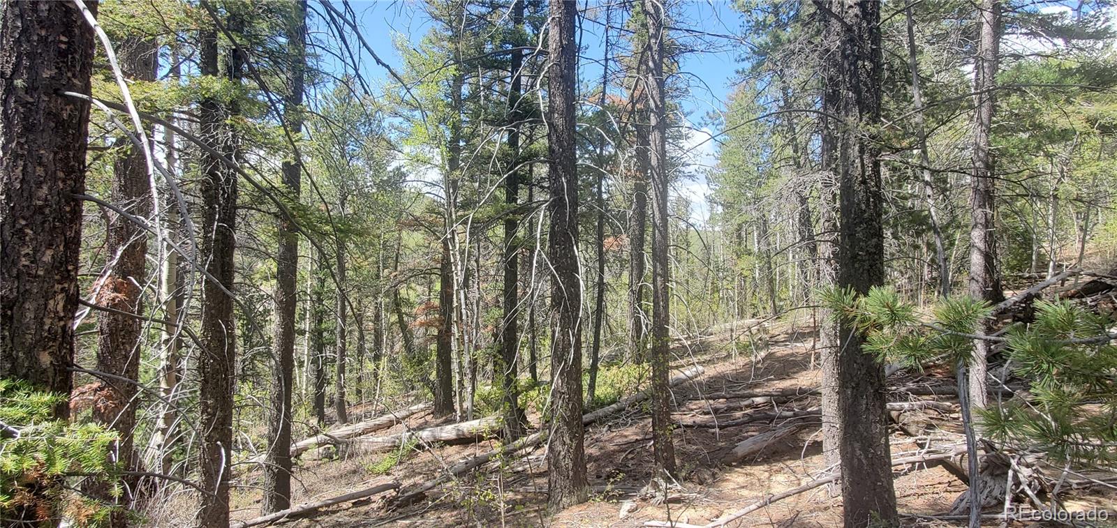 Lot 6764 Kerrigan Road