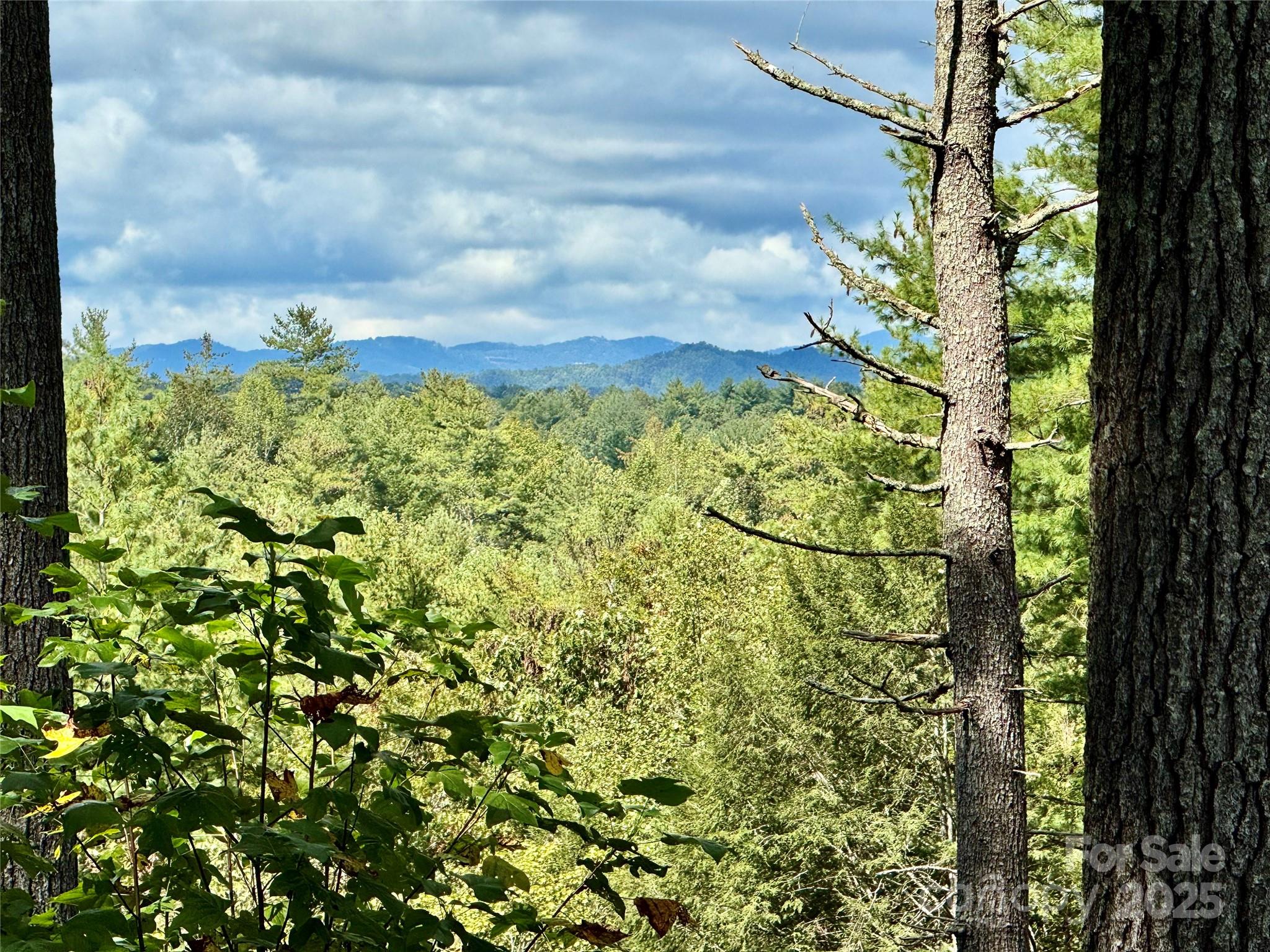 2088 Thoroughbred Way Lot G25