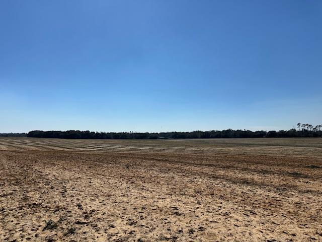 77+ acres of beautiful farmland on Highway 374. Property is currently under lease for the 2025 year. Lots of possibilities with this land!  For tax benefits, property is currently in CUVA.