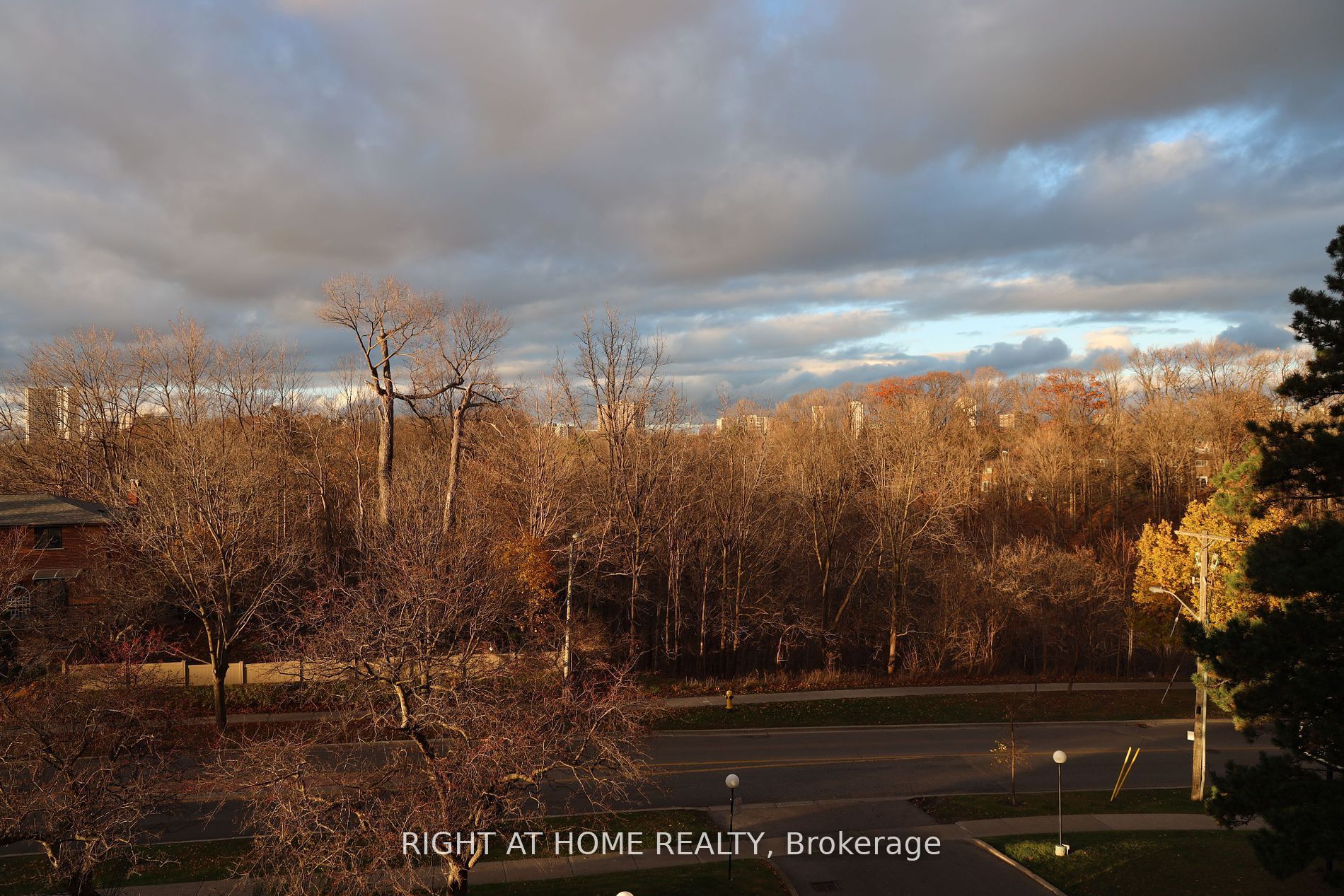 235 Grandravine Dr 407