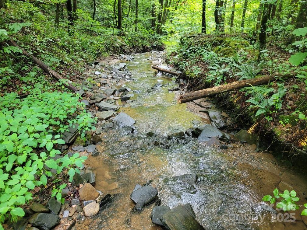 125 acres in the Blue Ridge Mountains. Surrounded by vast forestland, this magnificent unrestricted off grid property is loaded with merchantable timber, excellent wildlife habitat and hunting opportunities. Build your cabin retreat near one of the many spring water sources throughout the property or along Walnut Cove Creek that flows year round. A gently sloping road allows you easy access across the entire property at your showing. Mix of mature pine and hardwoods with beautiful large poplar stands. Many build sites including some level ridgetops with stunning long range mountain views. Would make a great family compound or hideaway. Additional walking trails off the main road add to the ease of viewing this property. 15 minutes to Linville Falls, Blue Ridge Parkway, Linville Falls Winery, 20 minutes to access the Linville Gorge Wilderness, 25 minutes to Lake James, 40 minutes to Boone and Banner Elk and 50 minutes to Asheville. Shown by appointment only, no unaccompanied visits.