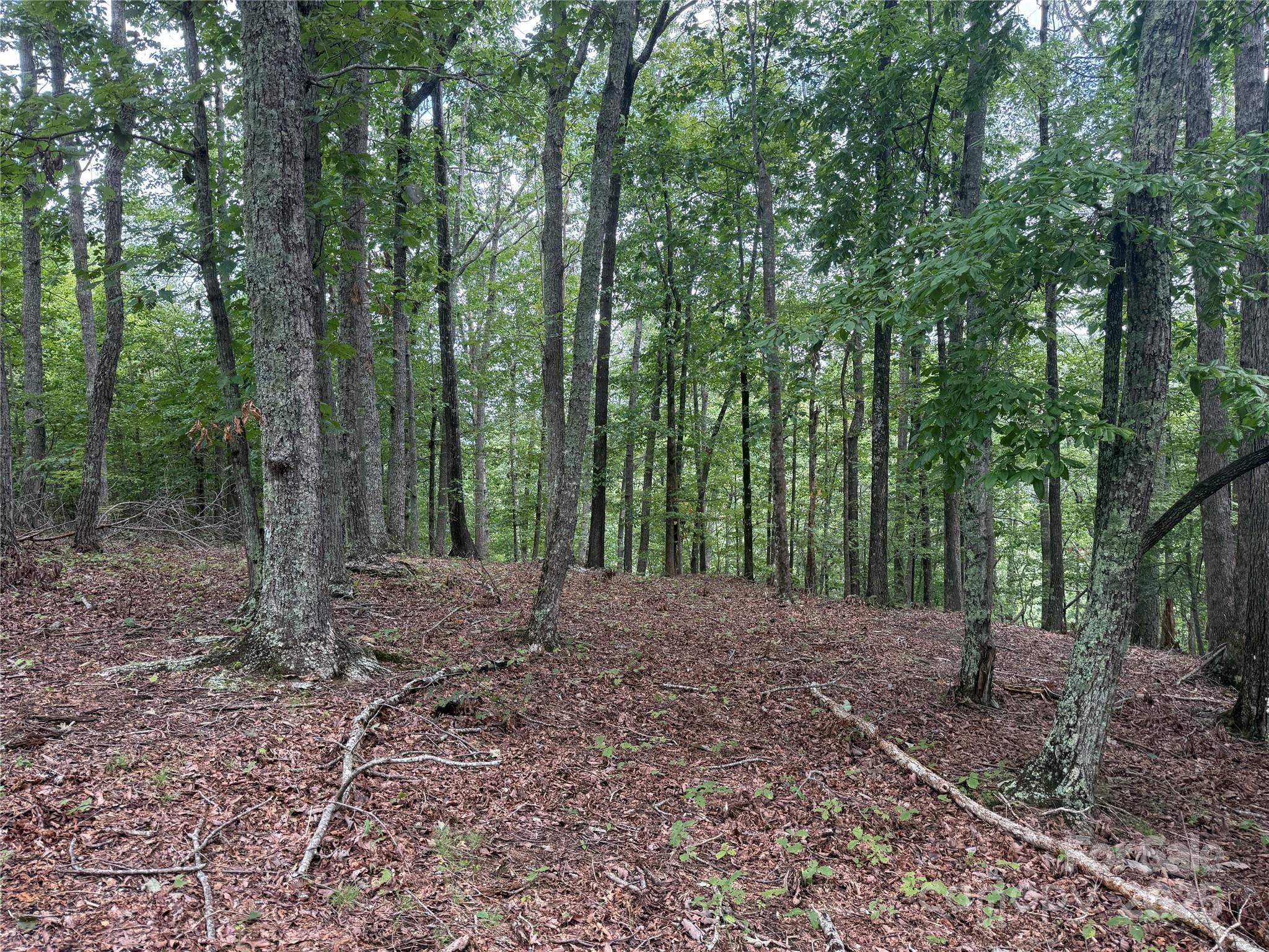 1187 Grandview Peaks Drive 187