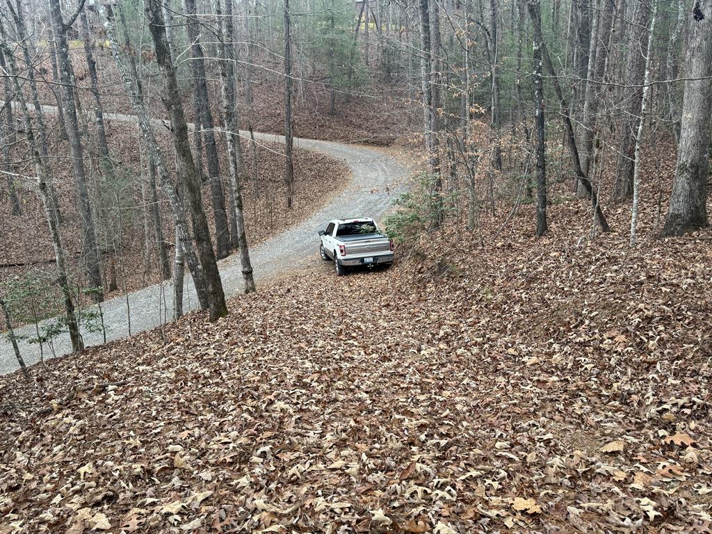 Wooded Building lot with underground power and driveway in place. House site was graded several years ago but grown up with small pine trees. Lays good for building. Seller had a expired septic permit before.