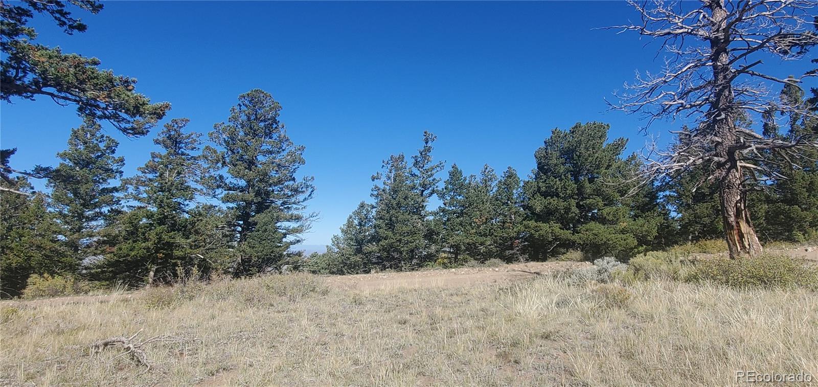 Lot 5821 Covington Road