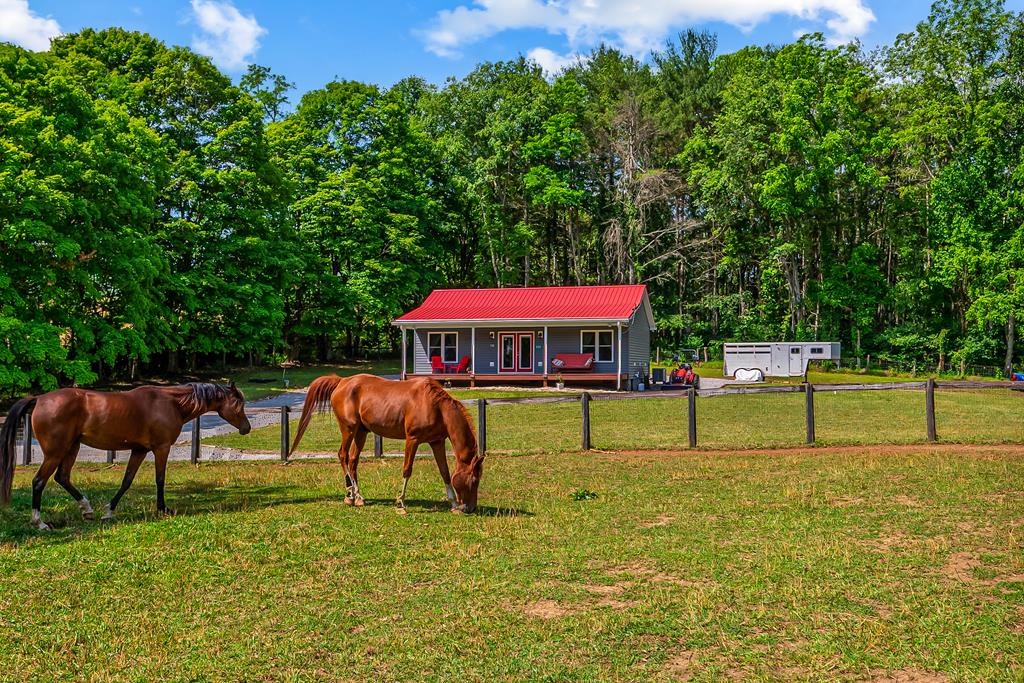 Turnkey equestrian retreat on 7.28 acres in scenic Ivanhoe, VA. Built in 2020, this 2BR/2BA home still feels brand new and comes fully furnished. Open-concept layout with stainless appliances, LVP flooring, and covered front porch overlooking fenced pasture and seasonal mountain views. Peaceful, private setting with no neighbors in sight. Fiber optic internet, underground power, whole-house generator, new storage shed, private well and septic. Horse-ready with cleared land, wraparound gravel driveway for trailers/RVs, and direct access via private trail to Cripple Creek. Minutes to New River Trail State Park and Iron Mountain Horse Camp with access to VA Highlands Horse Trail, Raven Cliff, Divide Trail, and more. Close to Hungry Horse East and Collins Cove camps. 10 minutes to New River, 20 to I-77/Fort Chiswell. Ideal for full-time living, a vacation rental, or retirement farm. A rare combination of privacy, acreage, and amenities —schedule your showing today! Note from the sellers about the home: "We both love how pretty the place is. Sitting out on the front porch listening to the creek and looking across to the mountains."