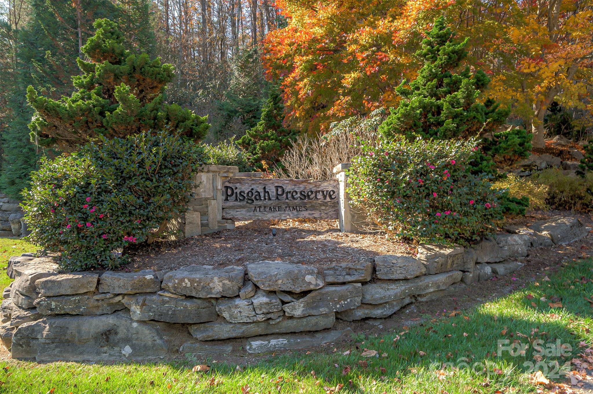 1504 Pisgah Preserve Road 6