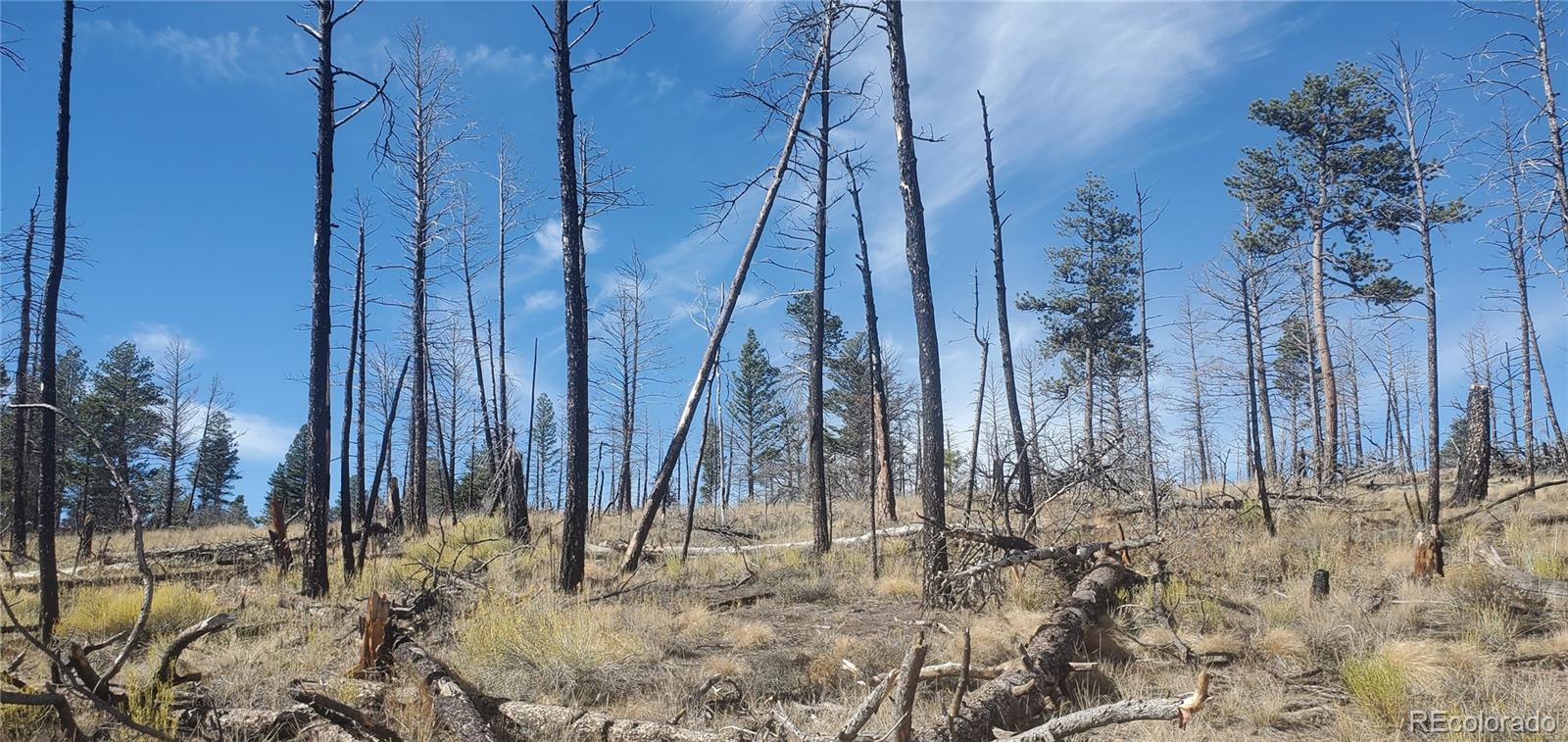 Lot 585 Leslie Loop
